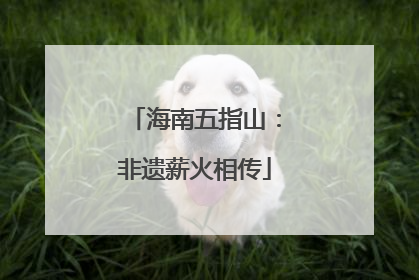 海南五指山：非遗薪火相传
