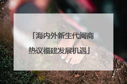海内外新生代闽商热议福建发展机遇