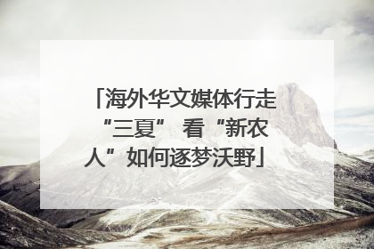 海外华文媒体行走“三夏” 看“新农人”如何逐梦沃野