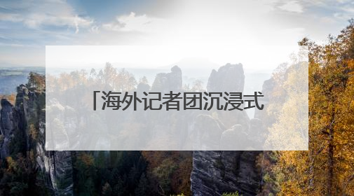 海外记者团沉浸式参观山东省职业技能大赛技能成果展