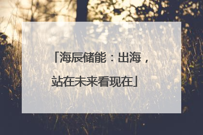 海辰储能：出海，站在未来看现在
