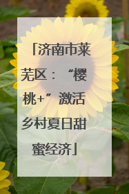 济南市莱芜区：“樱桃+”激活乡村夏日甜蜜经济