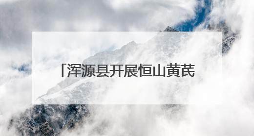 浑源县开展恒山黄芪市场秩序整治行动