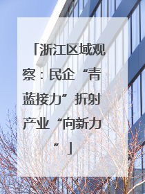 浙江区域观察：民企“青蓝接力”折射产业“向新力”