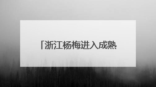浙江杨梅进入成熟上市期 今年总产量预计74万吨