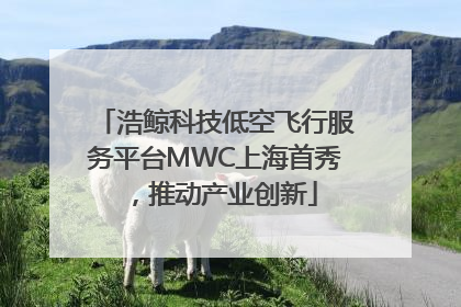 浩鲸科技低空飞行服务平台MWC上海首秀，推动产业创新
