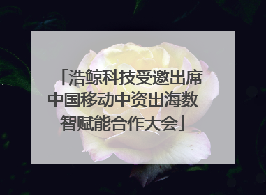浩鲸科技受邀出席中国移动中资出海数智赋能合作大会