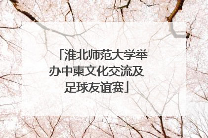 淮北师范大学举办中柬文化交流及足球友谊赛