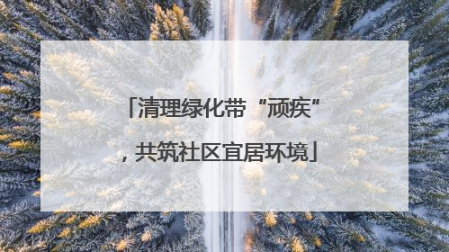 清理绿化带“顽疾”，共筑社区宜居环境