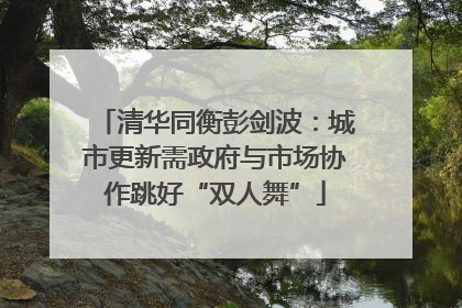 清华同衡彭剑波：城市更新需政府与市场协作跳好“双人舞”