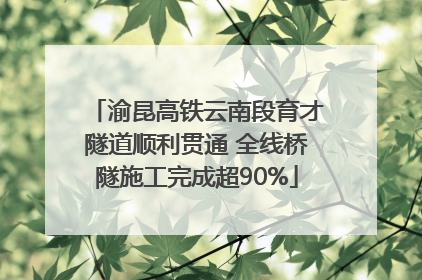 渝昆高铁云南段育才隧道顺利贯通 全线桥隧施工完成超90%