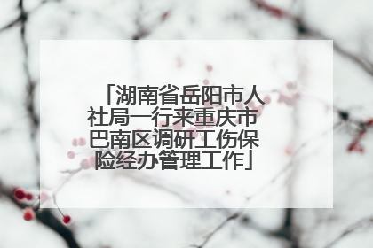 湖南省岳阳市人社局一行来重庆市巴南区调研工伤保险经办管理工作