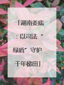 湖南娄底：以司法“绿盾”守护千年梯田