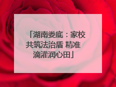 湖南娄底：家校共筑法治盾 精准滴灌润心田