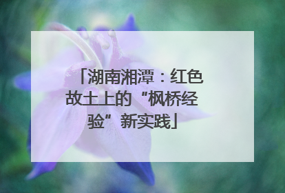 湖南湘潭：红色故土上的“枫桥经验”新实践