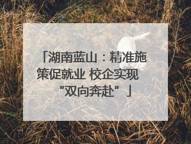 湖南蓝山：精准施策促就业 校企实现“双向奔赴”