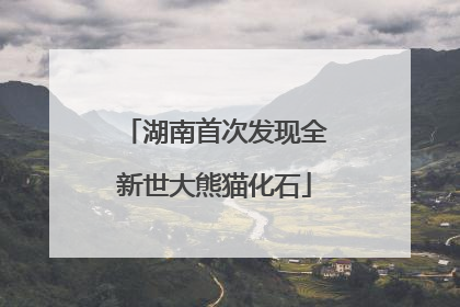 湖南首次发现全新世大熊猫化石