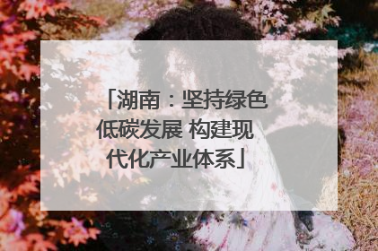 湖南：坚持绿色低碳发展 构建现代化产业体系