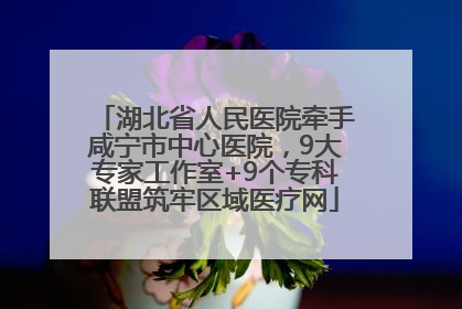 湖北省人民医院牵手咸宁市中心医院，9大专家工作室+9个专科联盟筑牢区域医疗网