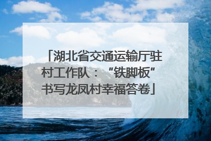 湖北省交通运输厅驻村工作队：“铁脚板”书写龙凤村幸福答卷