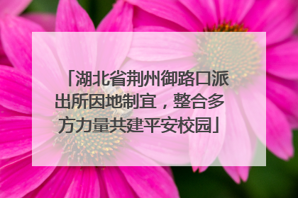 湖北省荆州御路口派出所因地制宜，整合多方力量共建平安校园