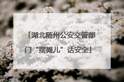 湖北随州公安交管部门“摆摊儿”话安全