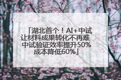 湖北首个！AI+中试让材料成果转化不再难 中试验证效率提升50%成本降低60%