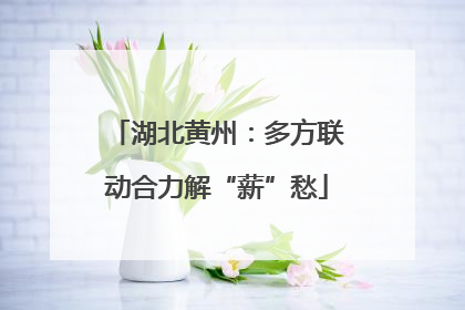 湖北黄州：多方联动合力解“薪”愁