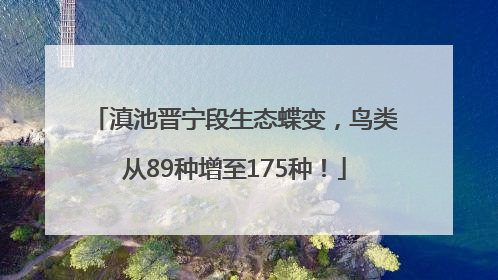 滇池晋宁段生态蝶变，鸟类从89种增至175种！