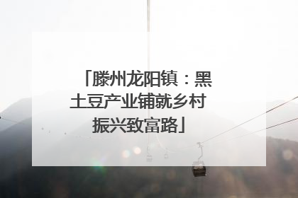 滕州龙阳镇：黑土豆产业铺就乡村振兴致富路