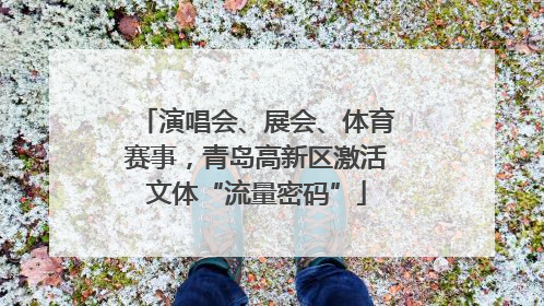 演唱会、展会、体育赛事，青岛高新区激活文体“流量密码”