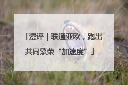 漫评｜联通亚欧，跑出共同繁荣“加速度”