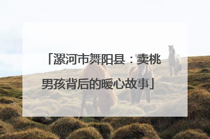 漯河市舞阳县：卖桃男孩背后的暖心故事