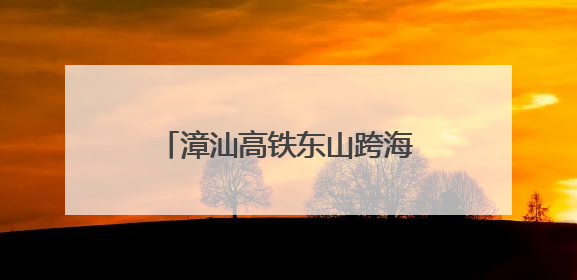 漳汕高铁东山跨海特大桥栈桥合龙