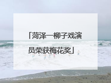 菏泽一柳子戏演员荣获梅花奖