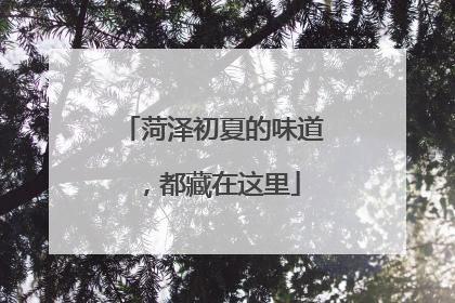 菏泽初夏的味道，都藏在这里