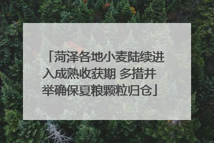 菏泽各地小麦陆续进入成熟收获期 多措并举确保夏粮颗粒归仓