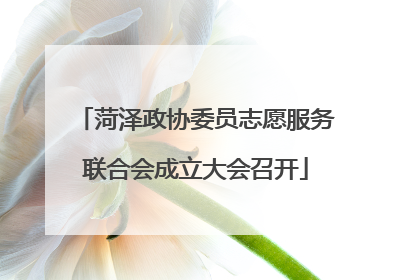 菏泽政协委员志愿服务联合会成立大会召开