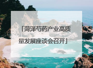 菏泽芍药产业高质量发展座谈会召开