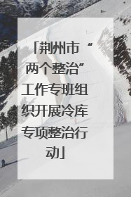 荆州市“两个整治”工作专班组织开展冷库专项整治行动