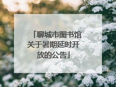 聊城市图书馆关于暑期延时开放的公告