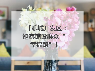 聊城开发区：巡察铺设群众“幸福路”