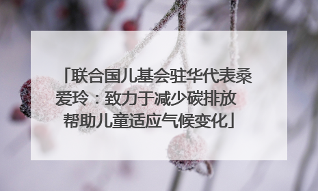 联合国儿基会驻华代表桑爱玲：致力于减少碳排放 帮助儿童适应气候变化
