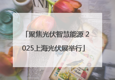 聚焦光伏智慧能源 2025上海光伏展举行