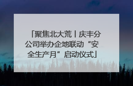 聚焦北大荒丨庆丰分公司举办企地联动“安全生产月”启动仪式