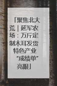 聚焦北大荒｜延军农场：万斤定制木耳发货 特色产业“成绩单”亮眼