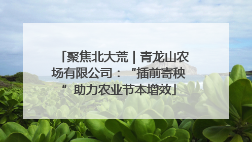 聚焦北大荒｜青龙山农场有限公司：“插前寄秧”助力农业节本增效
