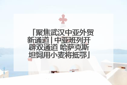 聚焦武汉中亚外贸新通道│中亚班列开辟双通道 哈萨克斯坦饲用小麦将抵鄂