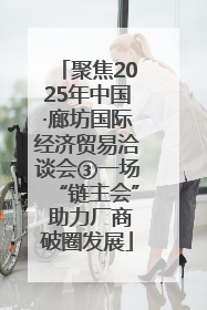 聚焦2025年中国·廊坊国际经济贸易洽谈会③一场“链主会” 助力厂商破圈发展