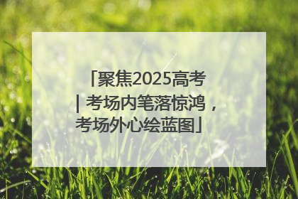 聚焦2025高考｜考场内笔落惊鸿，考场外心绘蓝图